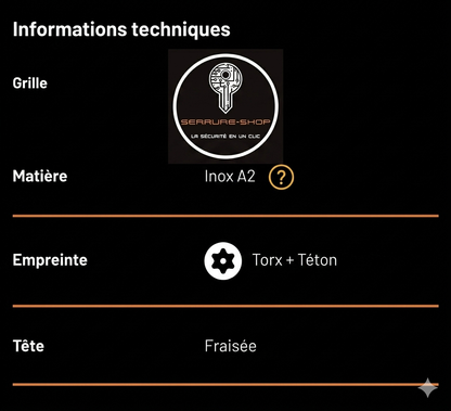 Vis de fixation de cylindre inviolable + embout.